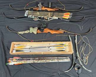 012 609 Hoyt Bows