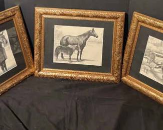214 Horse Sketches