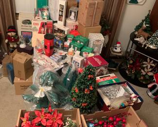 The Christmas store!