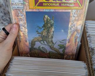 Turok Dinosaur Hunter, example of Valiant comic