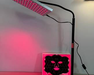 New In Box LED Face Mask and standing LED lamp, sold separately