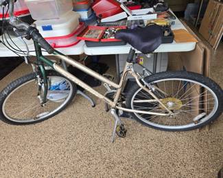 Schwinn mountain bike