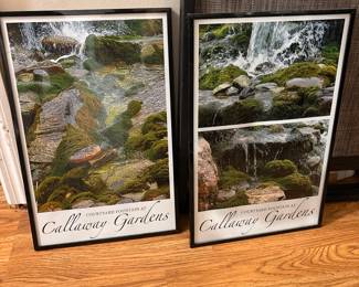 Framed Pictures