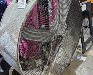 FAN