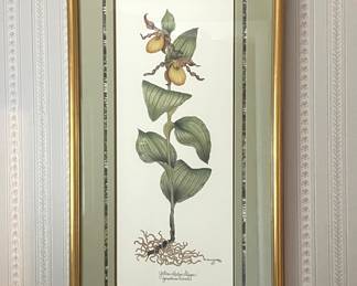 Botanical print