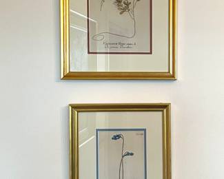 Botanical Prints