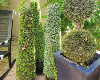 Pots and faux topiary
