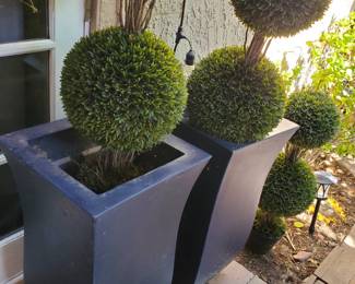 More pots with faux topiary