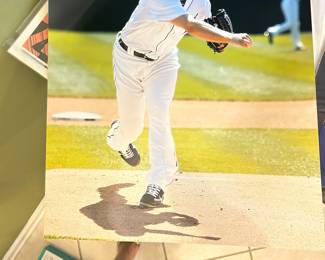 Detroit Tiger Max Scherzer on the mound