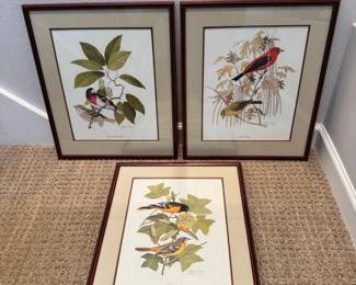 85 Setof3FramedBirdPrintsArthurSingerIllustrations