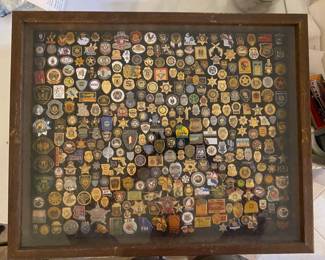 Display Case full of Collectable Pins