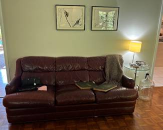 Leather Sofa, Wall Art, Throw Blanket