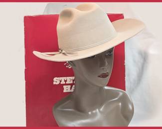 Nice Stetson Cowboy Hat with Box 