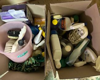 AAA220 - Cleaning Supply Mystery Lot