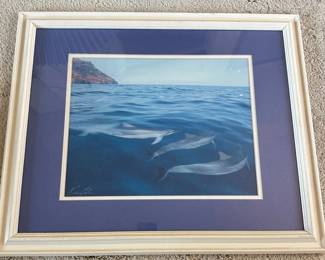 AAA202 - Framed Dolphin Photo Print