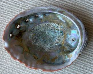 AAA264 - Large Abalone Decorative Shell Bowl