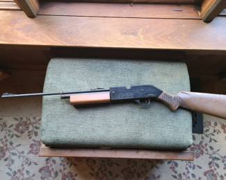 Vintage Crosman 760 Pump BB Airgun