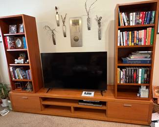 Vizio TV, media center and bookcases