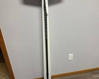 Buy it now-$100
Health-o-meter