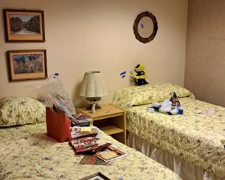 Twin bed mattresses and box springs