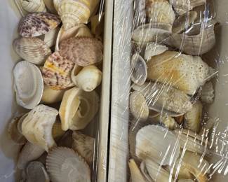 Shells