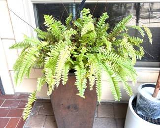 Tall brown planter
