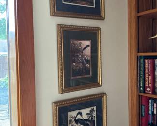 There are some beautiful Audubon prints from small to large