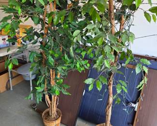 #181	Pair of 2 Artificial Trees	 $20.00 
