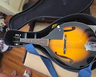 #228	Rover Mandolin w/case	 $80.00 
