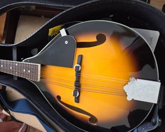 #228	Rover Mandolin w/case	 $80.00 
