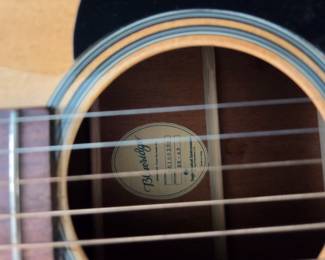 #227	Blueridge Acoustic Guitar w/case 	 $300.00 
