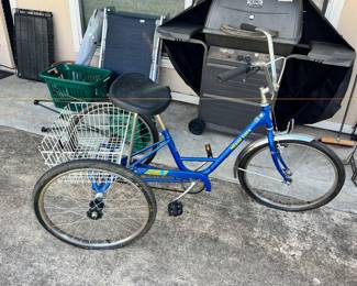 3-WHEEL "MIAMI SUN" ADULT TRIKE