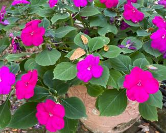 Planter & Flowers!