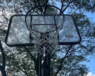 Driveway Basketball Hoop and Stand