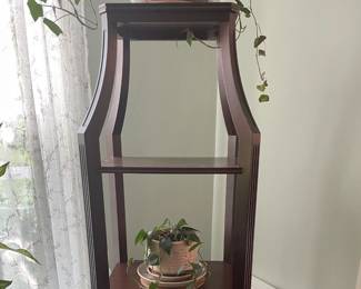Wooden Plant and Collectables Stand