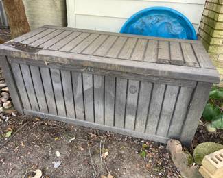 Porch or Pool Items Cabinet