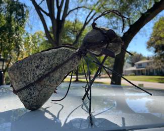 Awesome Ant Sculpture