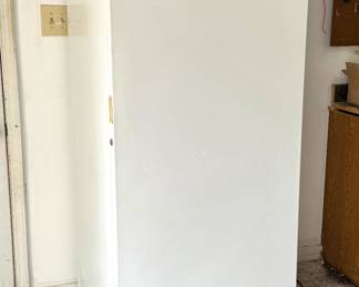 Frigidaire 17 Cu. Ft. Commercial Upright Freezer - Gets Super Cold! 