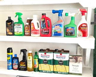 Paint, Polish, and Chemical Lot 