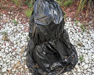 . . . mystery yard statue