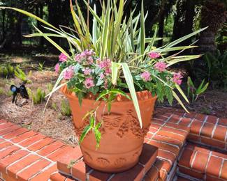 Large Potted Plant