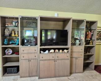 Entertainment Wall Unit
