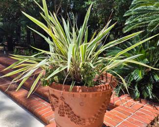 Large Planter Pot