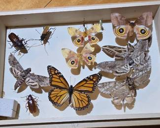 This is box #2.