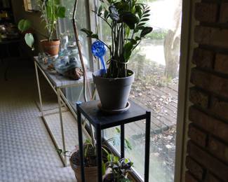 More live plants, and yes we do move things around