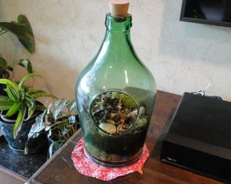 Terrarium jug