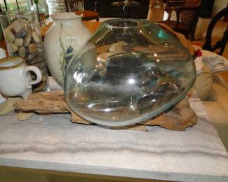 Fun and funky oval shaped glass terrarium, on a piece of driftwood 