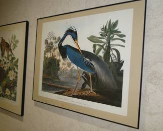 Collection of bird prints