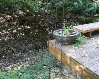 Vine climbing thing