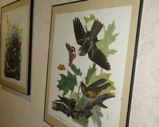 Number 3 bird print